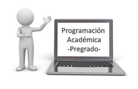 Manual – Programación Académica, pregrado